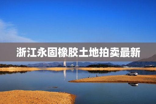 浙江永固橡胶土地拍卖最新