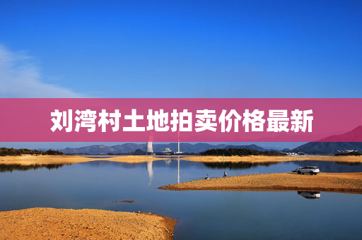 刘湾村土地拍卖价格最新