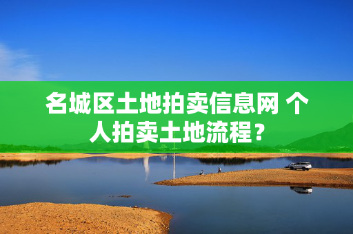 名城区土地拍卖信息网 个人拍卖土地流程？