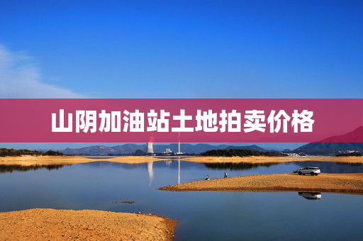 山阴加油站土地拍卖价格