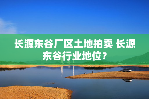 长源东谷厂区土地拍卖 长源东谷行业地位？