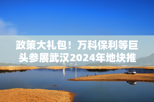 政策大礼包！万科保利等巨头参展武汉2024年地块推介会！