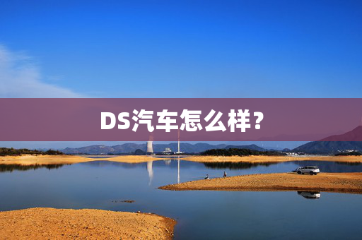 DS汽车怎么样？