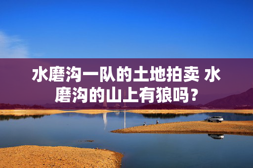 水磨沟一队的土地拍卖 水磨沟的山上有狼吗？