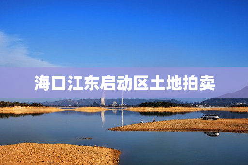 海口江东启动区土地拍卖