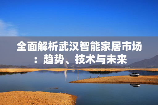 全面解析武汉智能家居市场：趋势、技术与未来