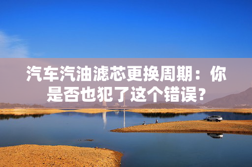 汽车汽油滤芯更换周期：你是否也犯了这个错误？