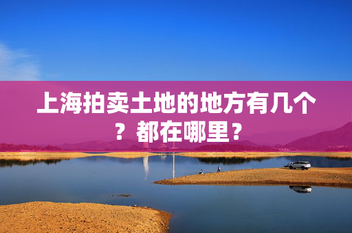 上海拍卖土地的地方有几个？都在哪里？