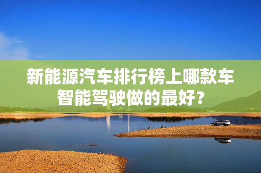 新能源汽车排行榜上哪款车智能驾驶做的最好？