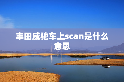 丰田威驰车上scan是什么意思