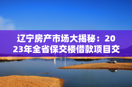 辽宁房产市场大揭秘：2023年全省保交楼借款项目交付超过9.9万套！