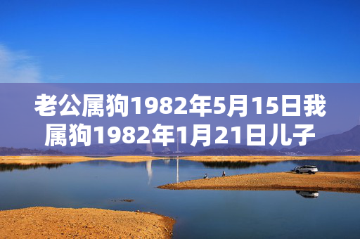 老公属狗1982年5月15日我属狗1982年1月21日儿子2007年8月初1都是阴历生日新家大门朝北2011年6月几号适