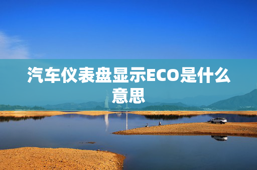 汽车仪表盘显示ECO是什么意思