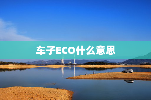 车子ECO什么意思