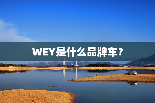 WEY是什么品牌车？