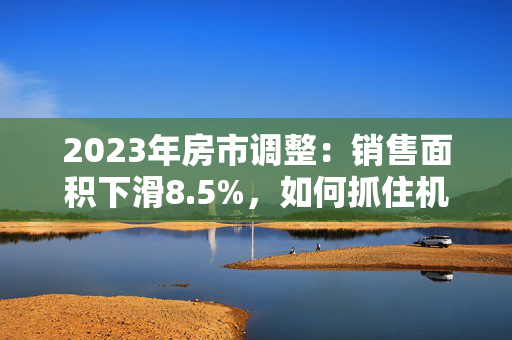 2023年房市调整：销售面积下滑8.5%，如何抓住机遇获利？