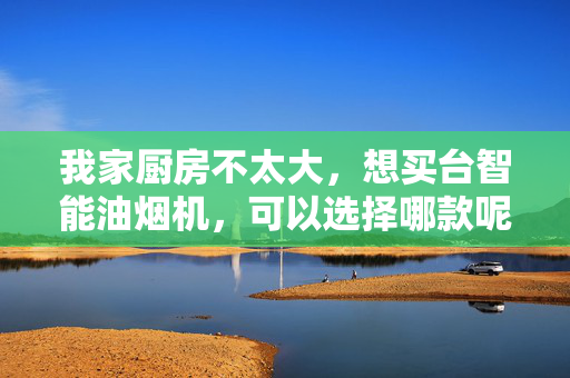 我家厨房不太大，想买台智能油烟机，可以选择哪款呢？最好是要好看点的。