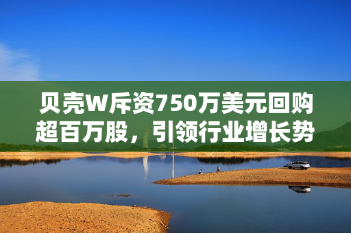 贝壳W斥资750万美元回购超百万股，引领行业增长势头！