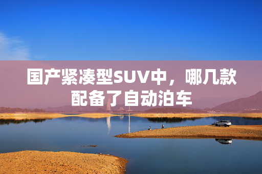 国产紧凑型SUV中，哪几款配备了自动泊车