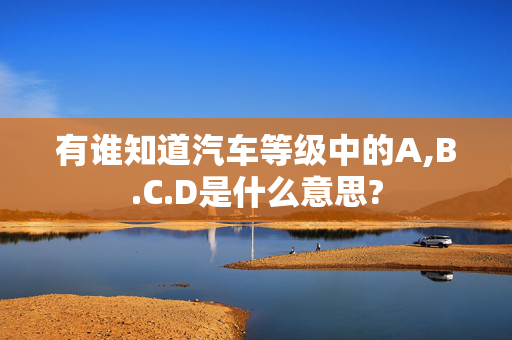 有谁知道汽车等级中的A,B.C.D是什么意思?