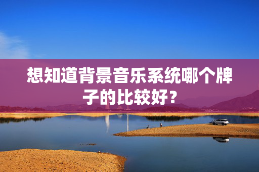 想知道背景音乐系统哪个牌子的比较好？