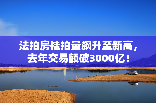 法拍房挂拍量飙升至新高，去年交易额破3000亿！