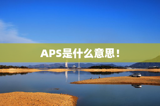 APS是什么意思！