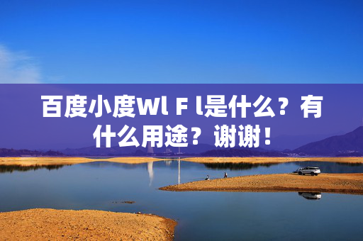 百度小度Wl F l是什么？有什么用途？谢谢！