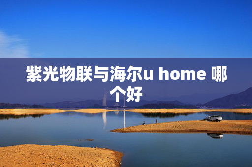 紫光物联与海尔u home 哪个好