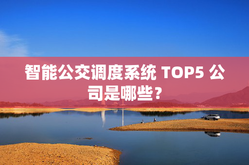 智能公交调度系统 TOP5 公司是哪些？