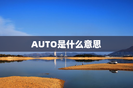 AUTO是什么意思