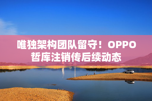 唯独架构团队留守！OPPO哲库注销传后续动态