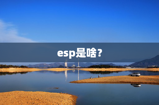 esp是啥？