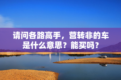 请问各路高手，营转非的车是什么意思？能买吗？