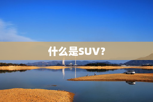 什么是SUV？