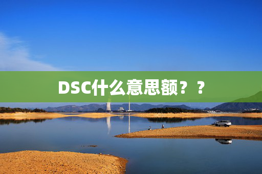 DSC什么意思额？？