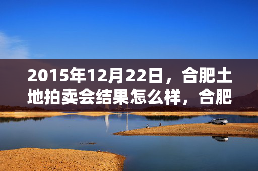 2015年12月22日，合肥土地拍卖会结果怎么样，合肥房价会发生什么改变吗？