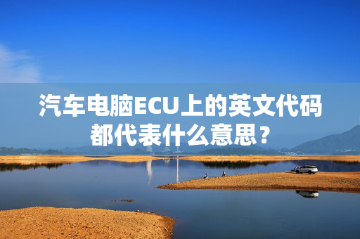 汽车电脑ECU上的英文代码都代表什么意思？