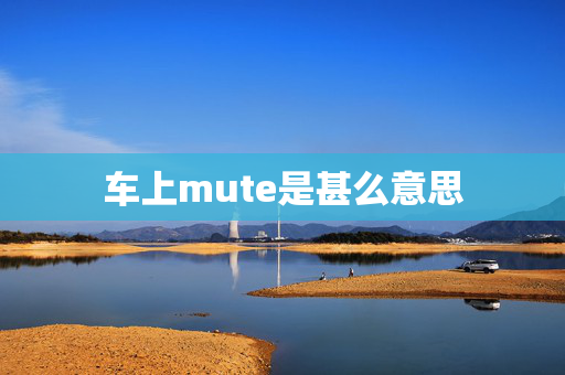 车上mute是甚么意思